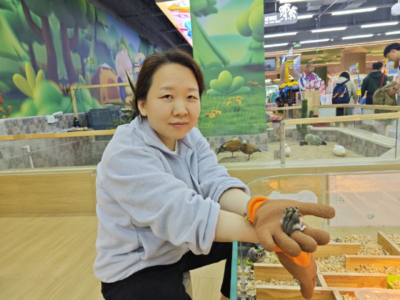 今天刮着超级大的风，本来没打算出门，但是要物业交割和户口确认就带着孩子出门了