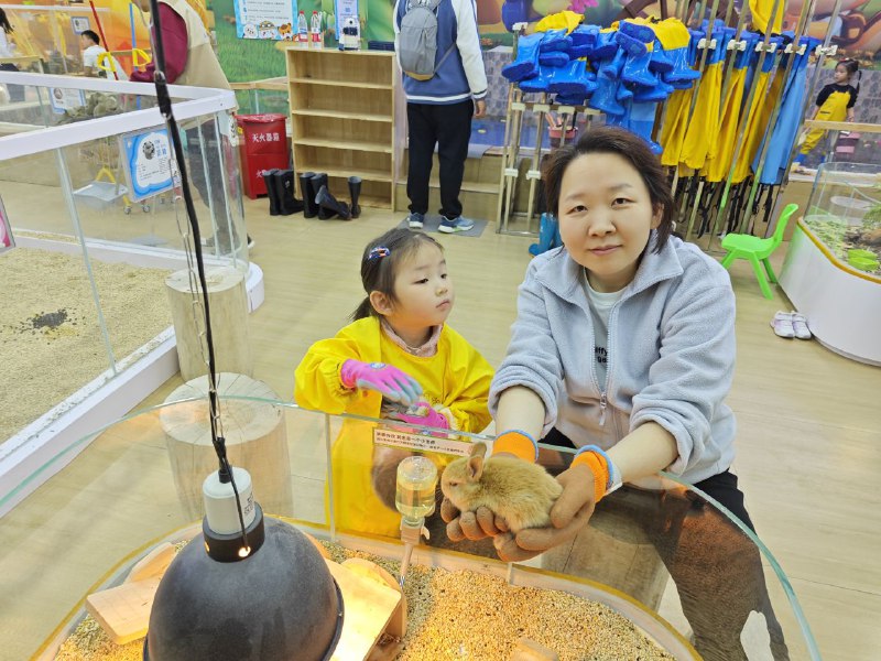 今天刮着超级大的风，本来没打算出门，但是要物业交割和户口确认就带着孩子出门了