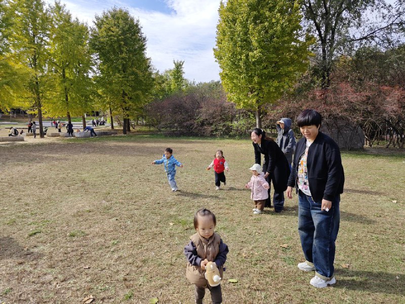 今天上午天气非常好，就想着去奥森，看看奥森的花和落叶