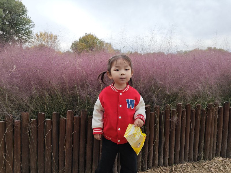 今天上午天气非常好，就想着去奥森，看看奥森的花和落叶