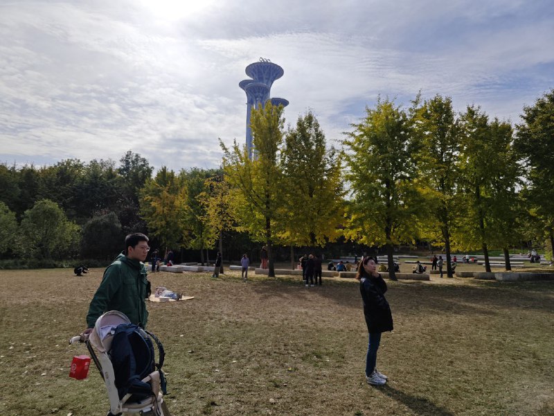 今天上午天气非常好，就想着去奥森，看看奥森的花和落叶