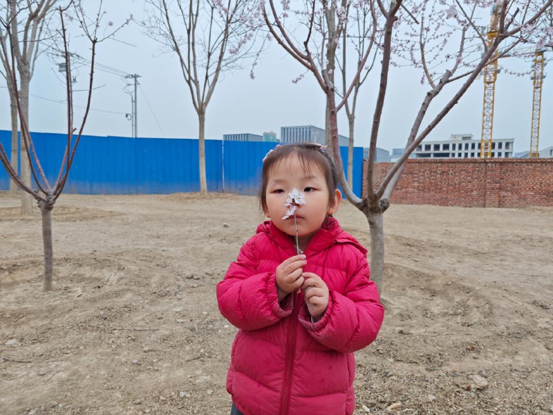 使用下面的提示词生成的照片，感觉可以做贴纸或者冰箱贴