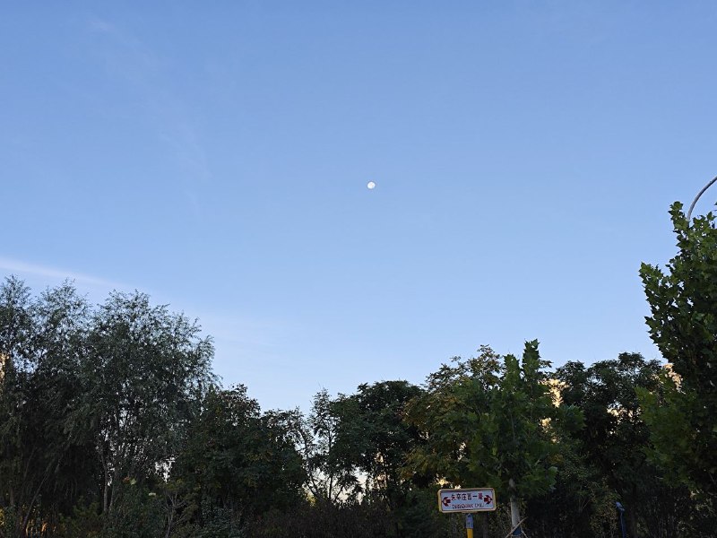 好久没有早起跑步了，冬天冷了，不想晚上在公司跑然后湿漉漉的衣服贴着身子