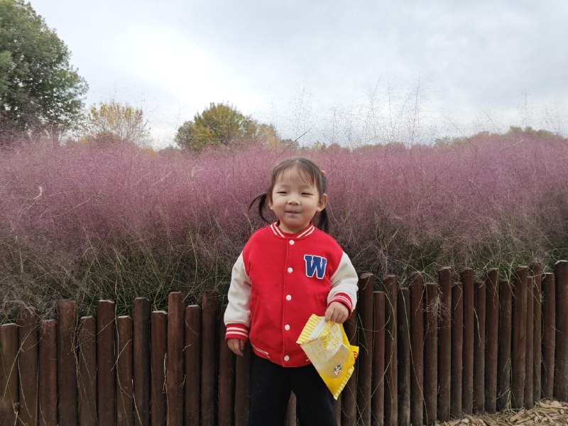 今天上午天气非常好，就想着去奥森，看看奥森的花和落叶